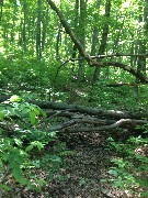 NCT; Michigan; National Forest 400 [20150623NF400]-- Old Route 64